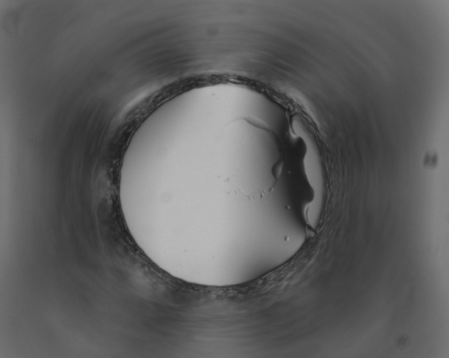 X0000091991064200710041125