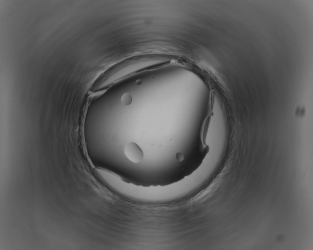 X0000091991065200710041125