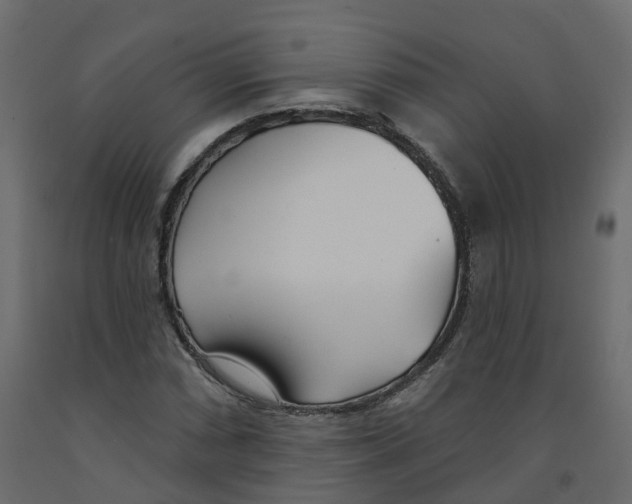 X0000091991066200710041125