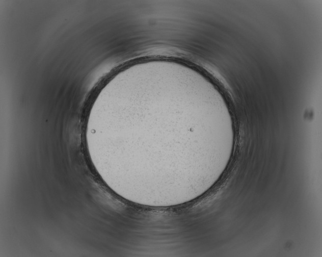 X0000091991067200710041125