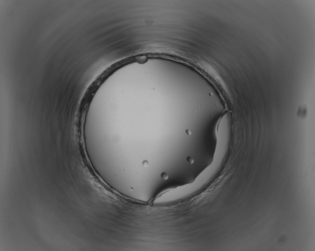 X0000091991068200710041125