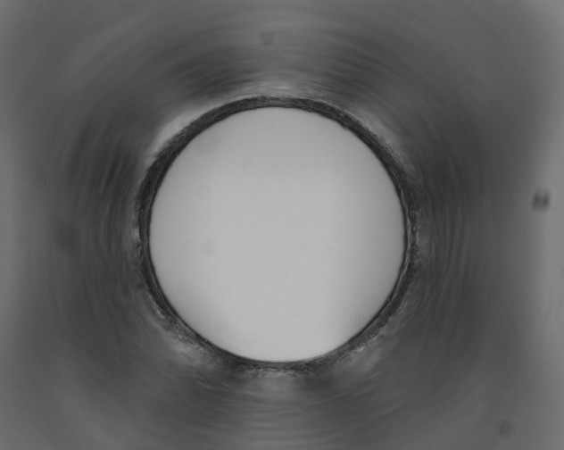 X0000091991070200710041125