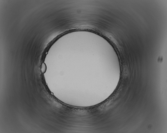 X0000091991071200710041125