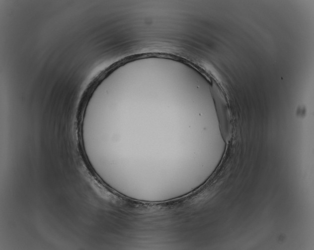 X0000091991072200710041125
