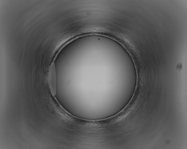 X0000091991073200710041125