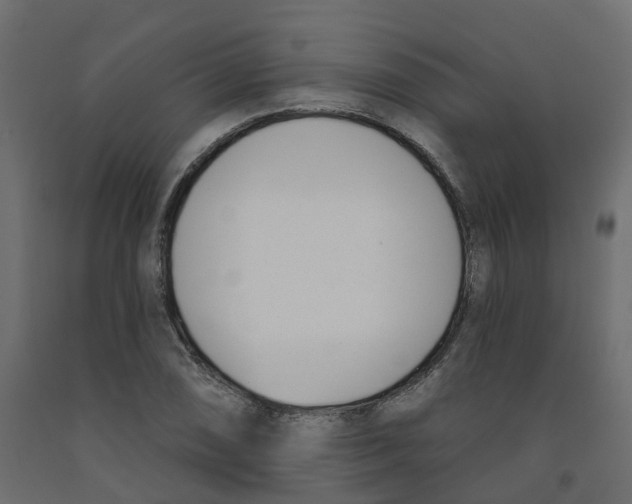 X0000091991074200710041125