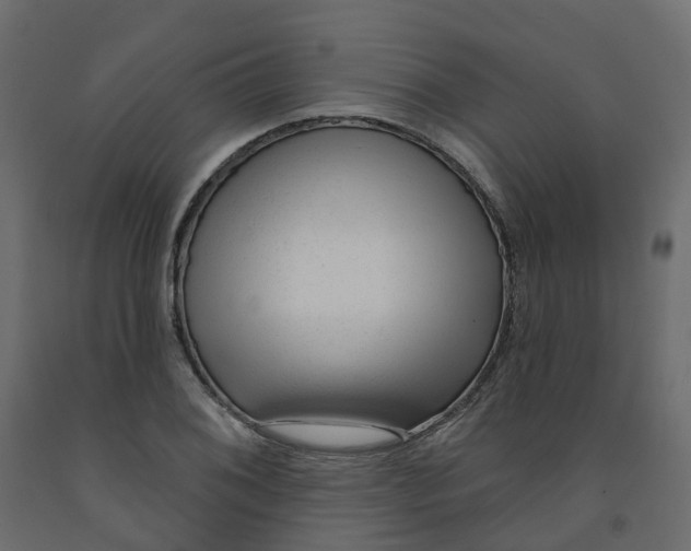 X0000091991076200710041125