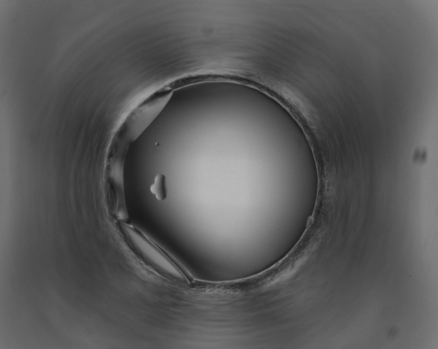 X0000091991077200710041125