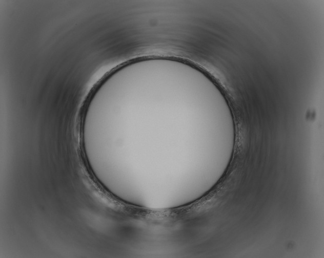 X0000091991078200710041125