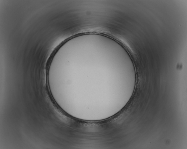 X0000091991079200710041125