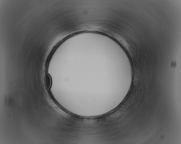 X0000091991080200710041125