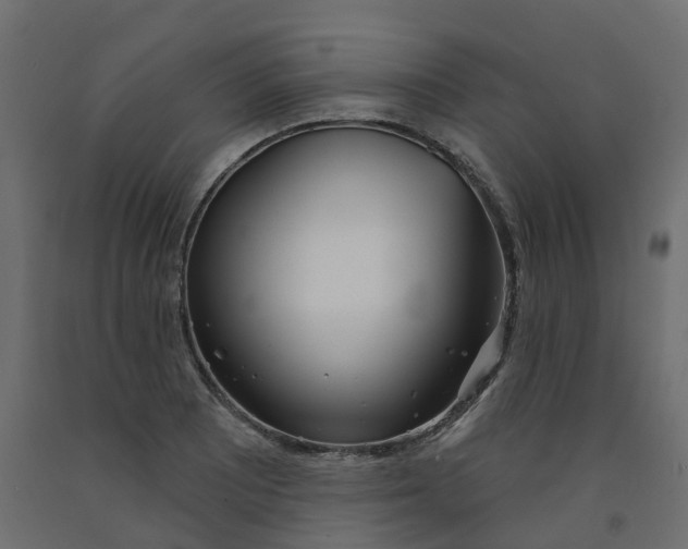 X0000091991081200710041125