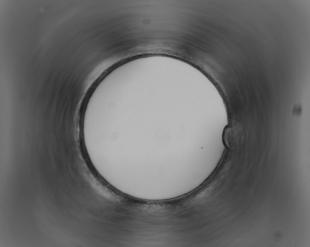 X0000091991082200710041125