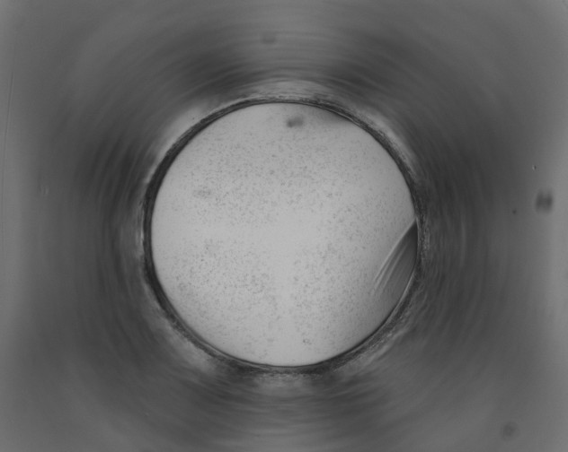 X0000091991083200710041125
