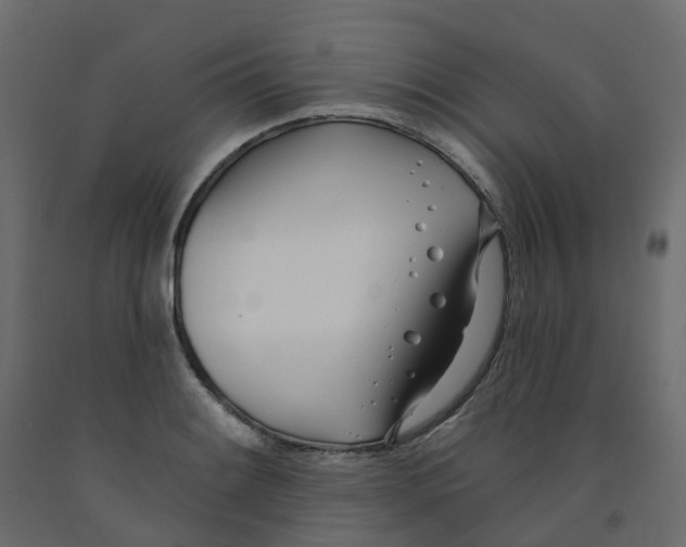 X0000091991084200710041125
