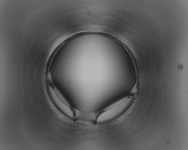 X0000091991085200710041125