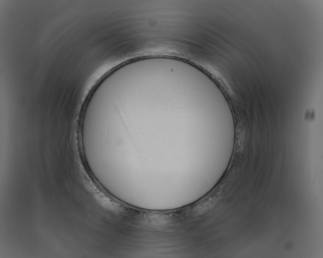 X0000091991086200710041125