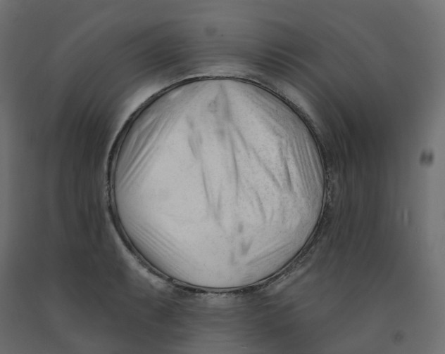 X0000091991087200710041125