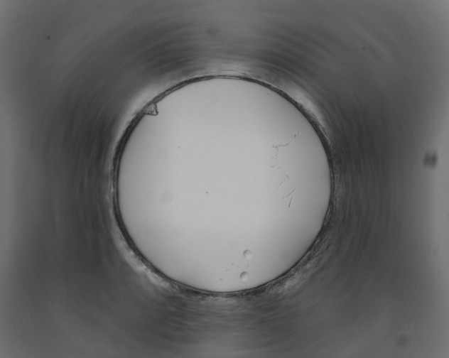 X0000091991088200710041125