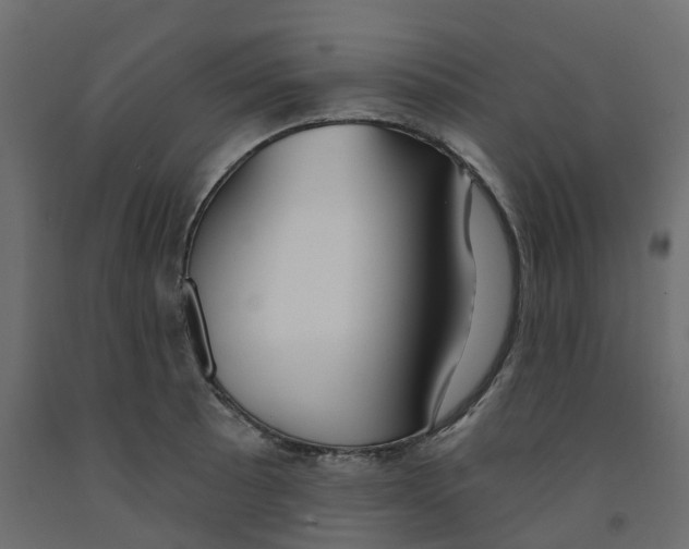 X0000091991089200710041125