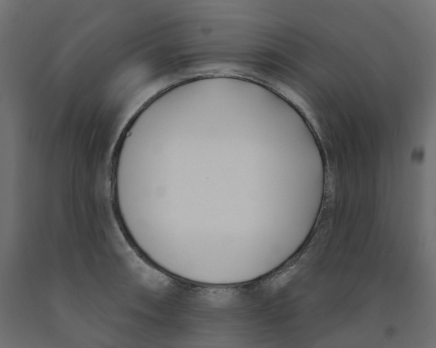 X0000091991090200710041125
