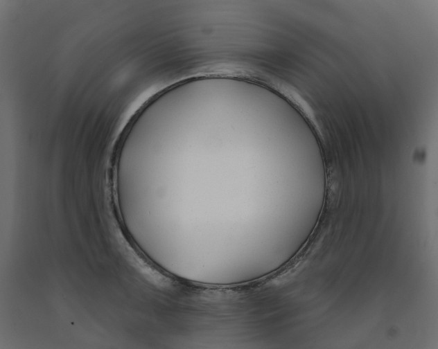 X0000091991091200710041125