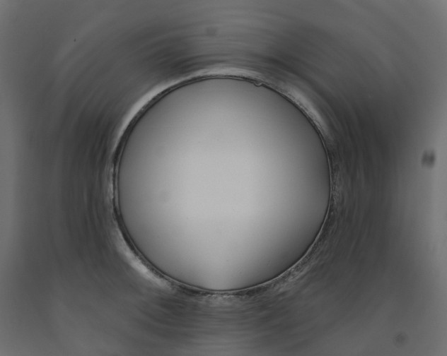 X0000091991092200710041125