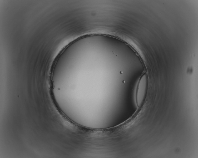 X0000091991093200710041125