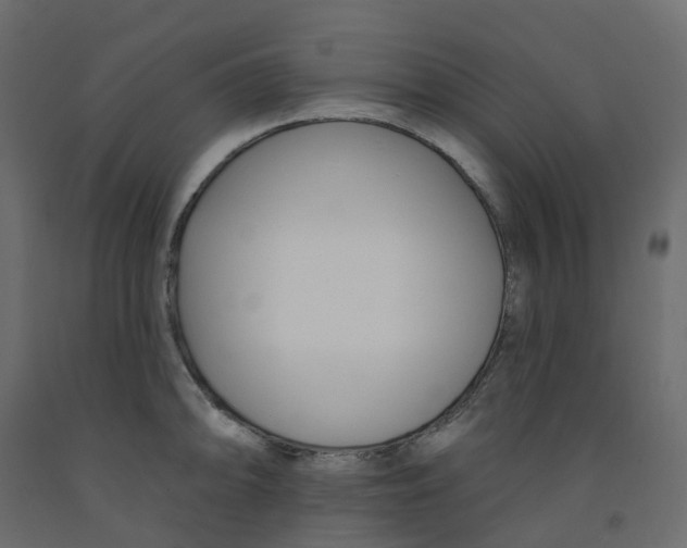 X0000091991094200710041125