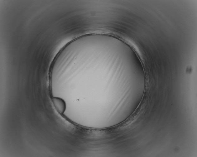 X0000091991095200710041125