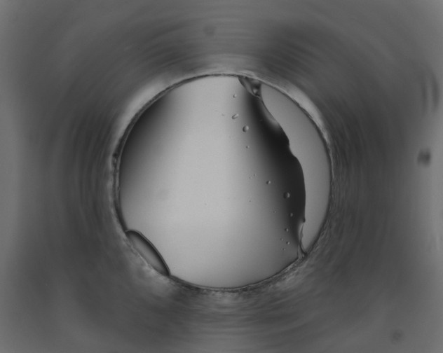 X0000091991096200710041125