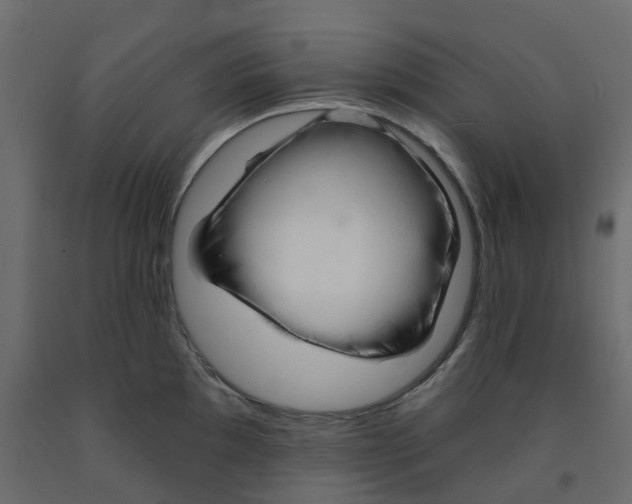 X0000091991097200710041125