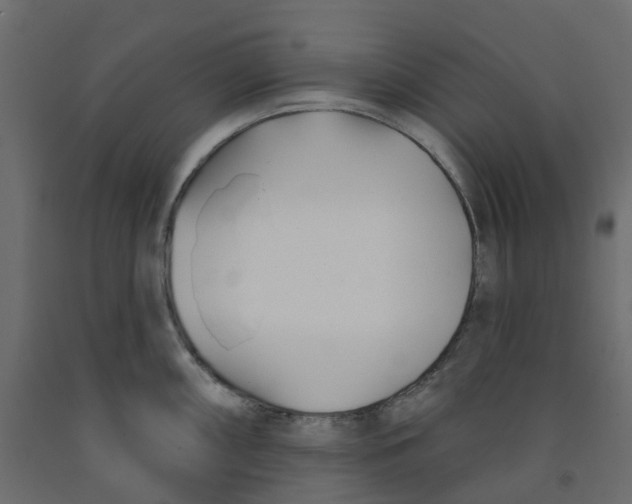 X0000091991098200710041125