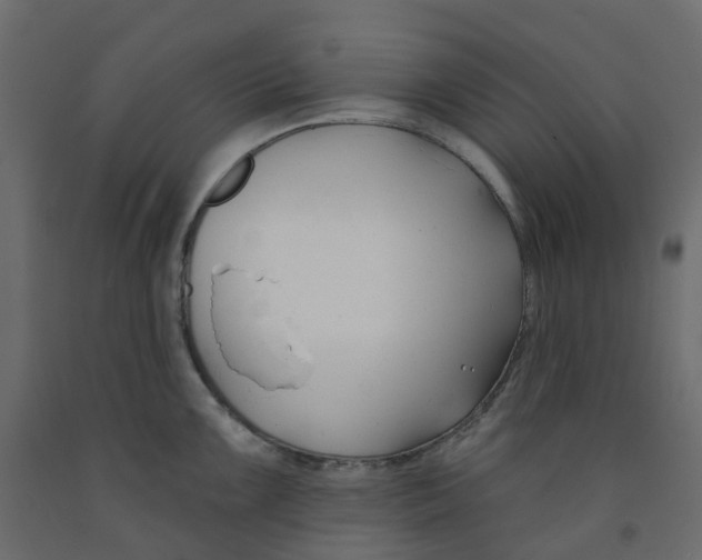 X0000091991099200710041125
