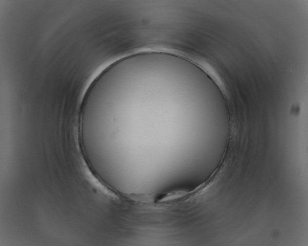 X0000091991100200710041125