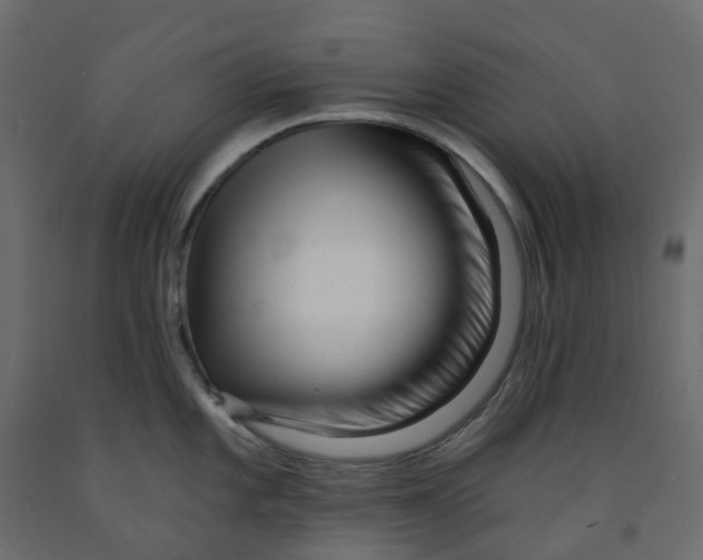 X0000091991101200710041125