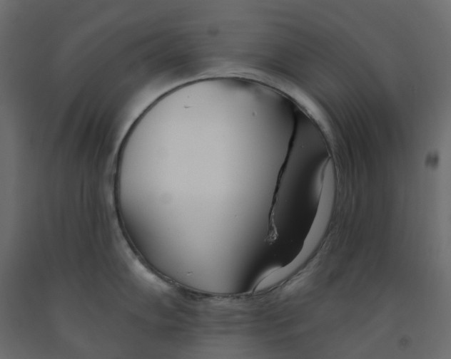 X0000091991102200710041125