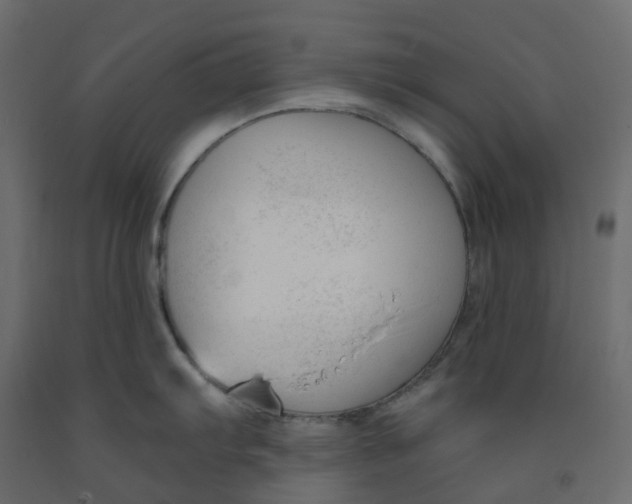X0000091991103200710041125