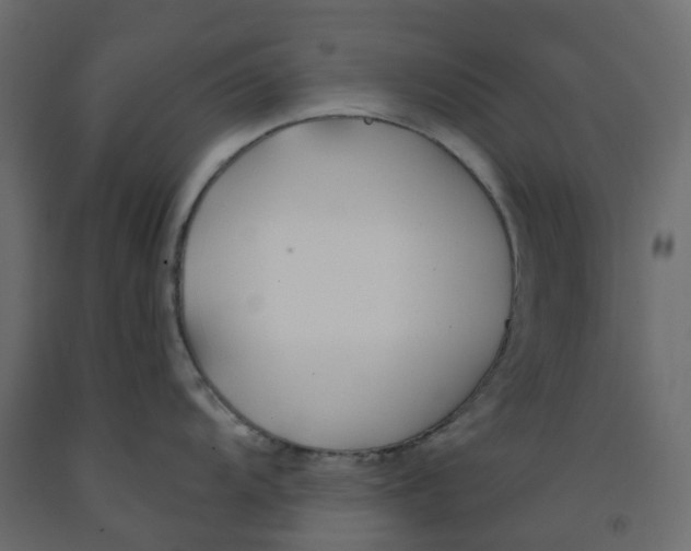 X0000091991104200710041125