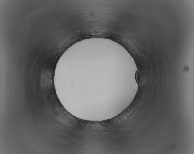 X0000091991106200710041124