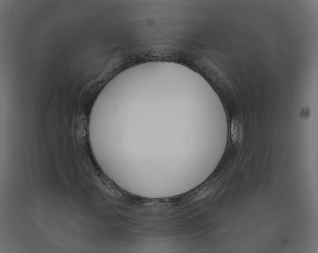 X0000091991107200710041124