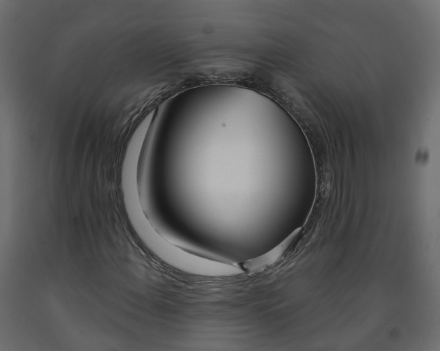 X0000091991108200710041124