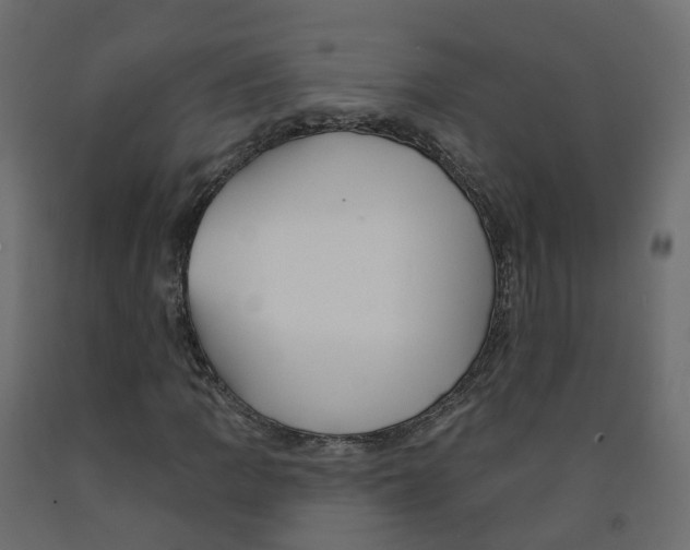 X0000091991109200710041124