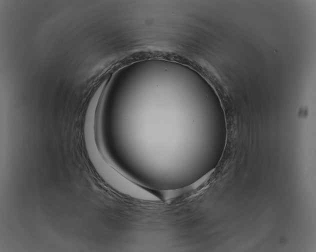 X0000091991110200710041124