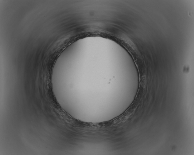X0000091991111200710041124