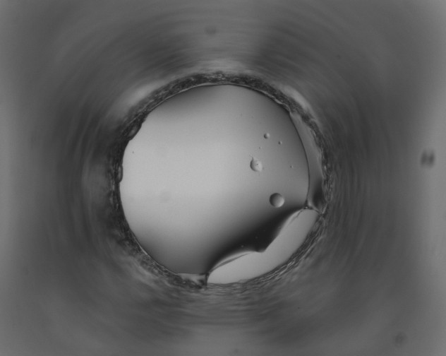 X0000091991112200710041124