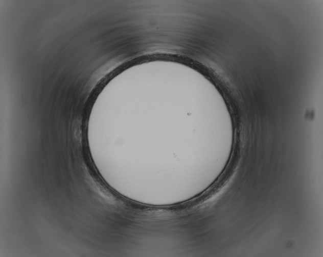 X0000091991113200710041124