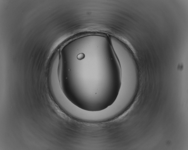 X0000091991114200710041124