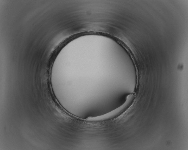 X0000091991115200710041124