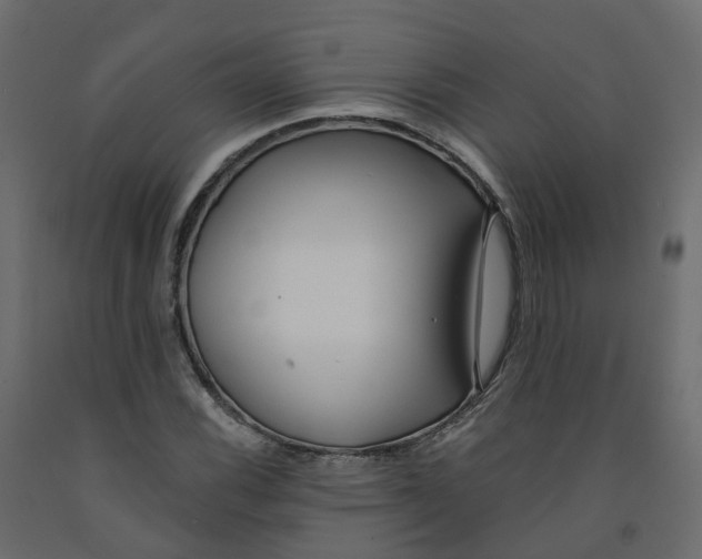 X0000091991116200710041124